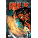 Hulk : Défenseurs Vs Agresseurs