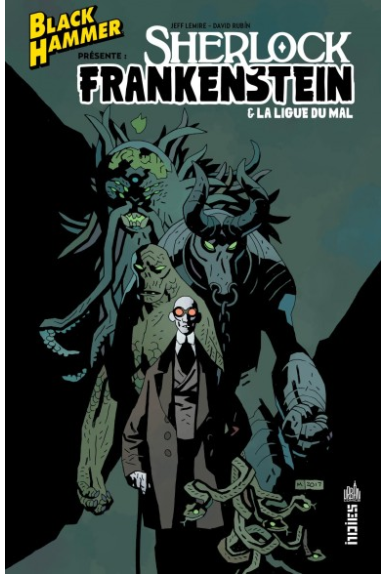 Black Hammer Tome 2 : L'Incident Black Hammer Tome 2 : L'Incident