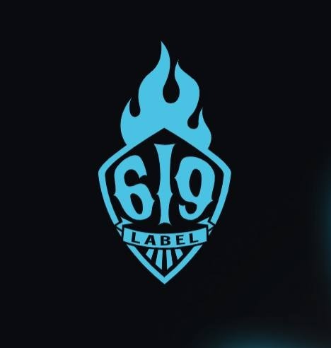 Label 619